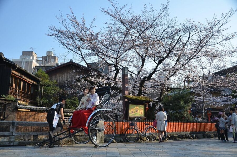 From Osaka: Private Customized Day Tour to Kyoto - Lunch on Your Own: One Hour That’s Actually Useful