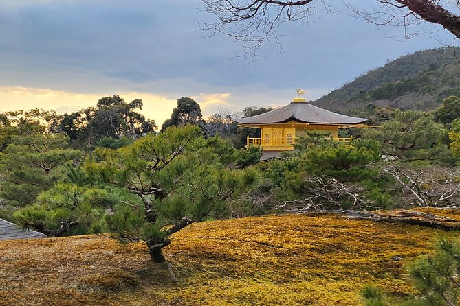 Full Day Guided Tour to Kyoto Arashiyama from Osaka by Van - Ninna-ji Temple: Nio gates, palace structure, and gardens