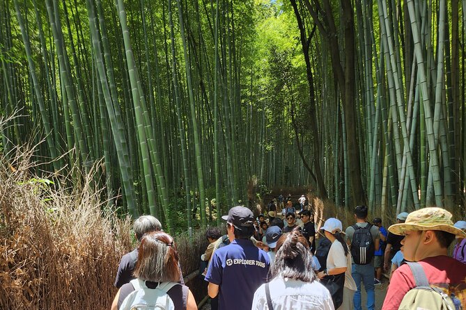 Full Day Guided Tour to Kyoto Arashiyama from Osaka by Van - Kinkaku-ji Golden Pavilion: iconic sight, managed timing