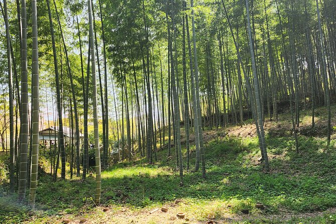 Full Day Guided Tour to Kyoto Arashiyama from Osaka by Van - Price and value for a guided Arashiyama day