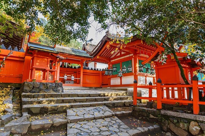 Full Day Guided Tour to Nara from Osaka by Van - Key highlights you’ll actually care about