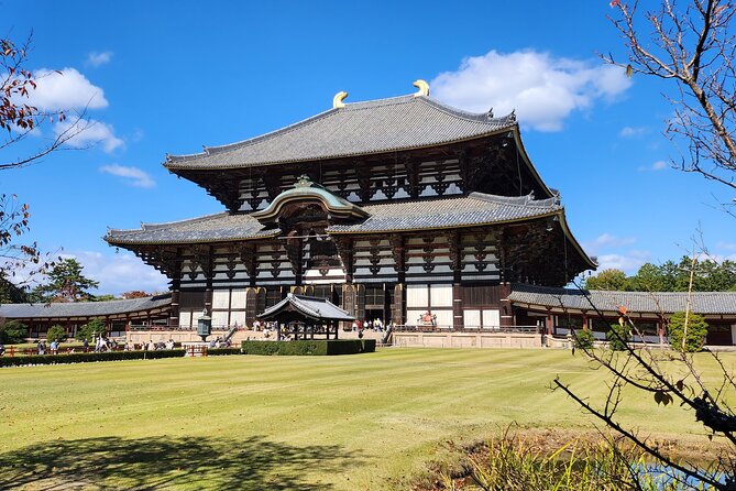 Full Day Guided Tour to Nara from Osaka by Van - Osaka to Nara Park: a comfy ride with a clear start