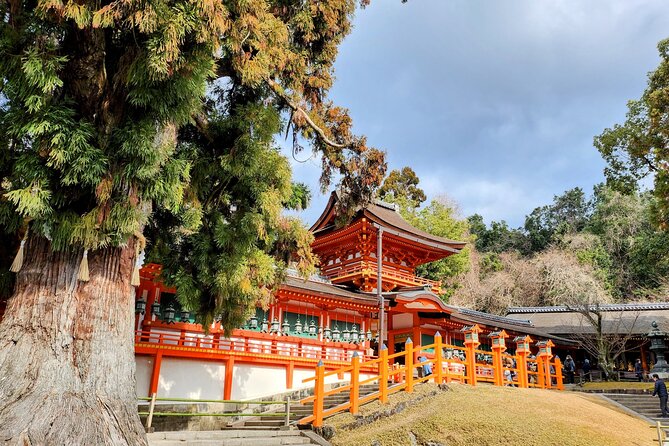 Full Day Guided Tour to Nara from Osaka by Van - Todai-ji Nandaimon: the gate that makes scale real