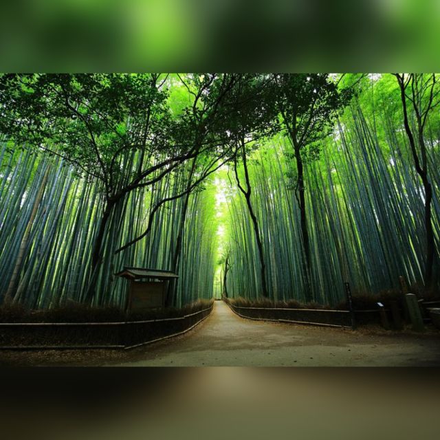 Full day Highlights destination of Kyoto with Hotel Pickup - How Hotel Pickup Changes Your Kyoto Day