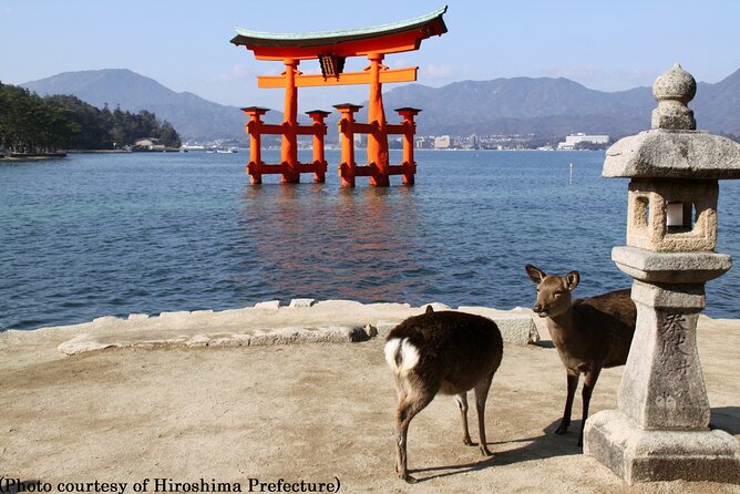 Full Day Hiroshima and Miyajima Tour by Bullet Train from Osaka - Miyajima: Sacred Island Views, Shrine Architecture, and Tide Reality