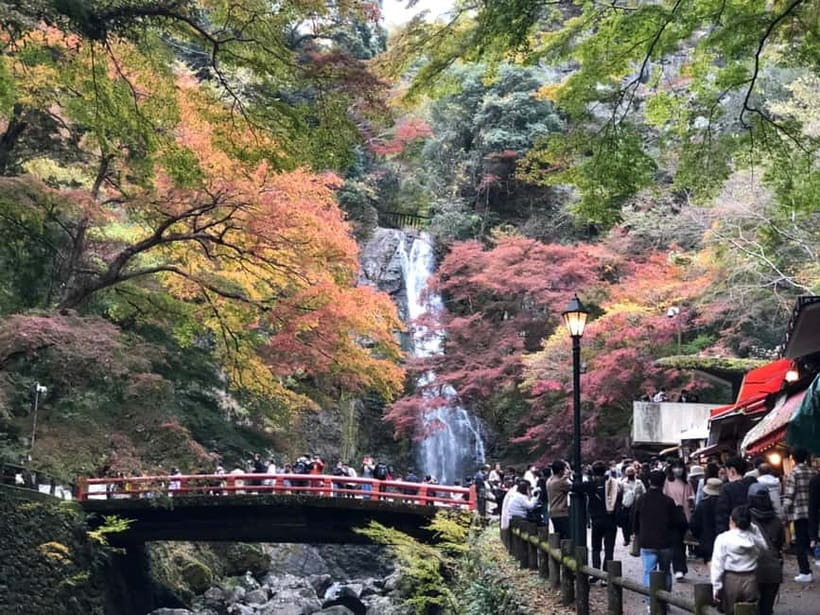 Get to know Minoo from Osaka. Katsuoji Temple, Ryuanji Waterfall and Ryuanji Temple - Getting to Minoh: Why Timing and an IC Card Matter
