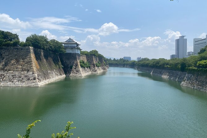 Guided Tour of Some Attractions in Osaka by Private Car - Abeno Harukas (Tennoji): 300-Meter Views Without the Detour