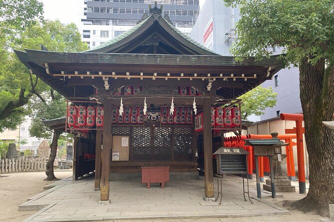 Guided Tour of Some Attractions in Osaka by Private Car - Price and Value for a Group Up to 5