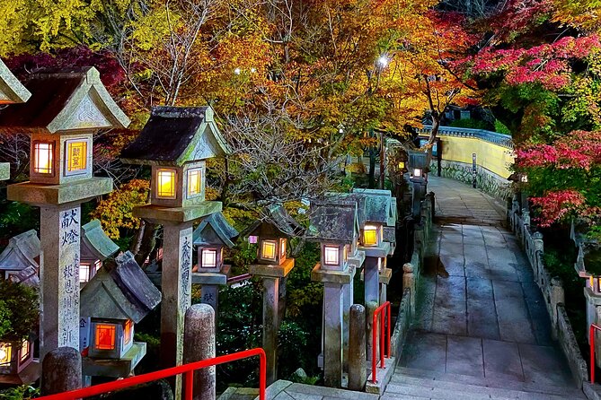 Hidden Gems of Osaka Kyoto Nara - Private Car Tour by Local Guide - Daiki as your guide: explanations that actually stick