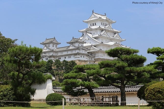 Himeji Castle and Akashi Kaikyo Bridge Walking Tour from Osaka - Key things that make this tour work