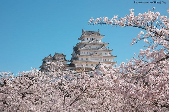 Himeji Castle and Akashi Kaikyo Bridge Walking Tour from Osaka - Akashi Kaikyo Bridge: exhibition first, then views from Maiko Marine Promenade