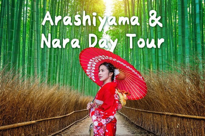 Himeji Castle and Akashi Kaikyo Bridge Walking Tour from Osaka - How much walking are you really signing up for?