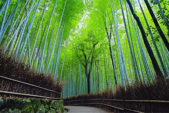 Katsuo-ji Temple, Arashiyama Forest, & Nara Park - Nara Park Deer Encounters and Temple Sights: The Most Emotional Stop