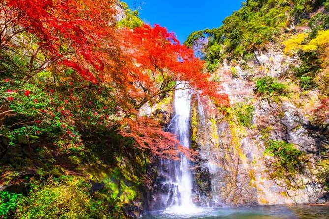 Katsuo-ji Temple, Arashiyama Forest, & Nara Park - Guides, Language Support, and the Drop-Off Expectation