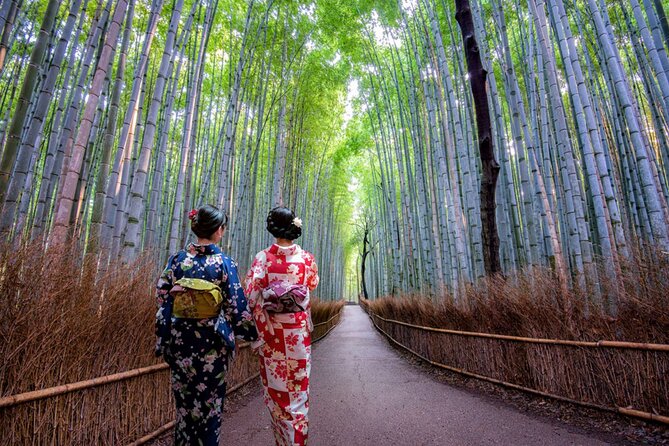 Katsuo-ji Temple, Arashiyama Forest, & Nara Park - Practical Tips for Getting the Most From 11 Hours