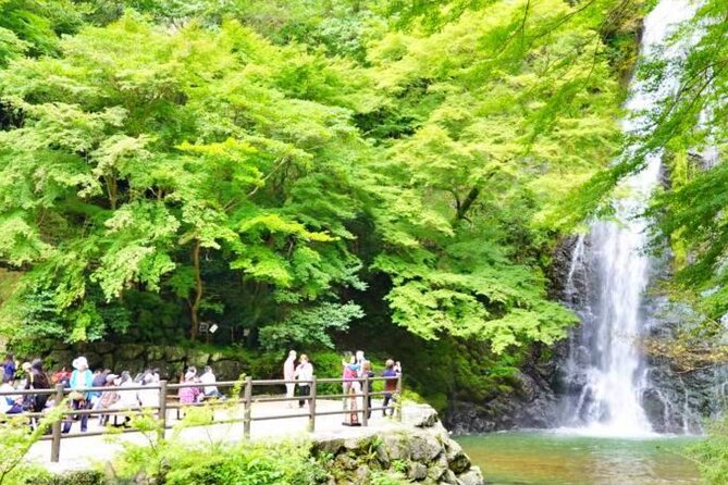 Katsuo-ji Temple, Arashiyama Forest, & Nara Park - Who Should Book This Day Trip From Osaka