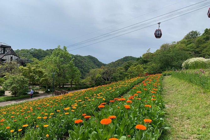 Kobe private tour from Osaka (Shore excursion available from Osaka or Kobe port) - Price and Value: When $195.96 Makes Sense