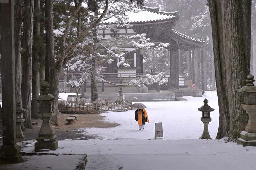 Koyasan: A Mysterious Meditation Journey - Price and value: what you’re paying for at $539 per group