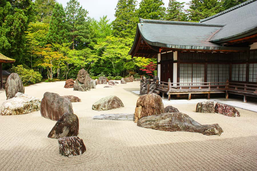 Koyasan: A Mysterious Meditation Journey - Kongobu-ji: choosing the Shingon main temple experience