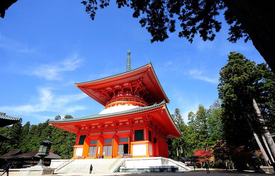 Koyasan: A Mysterious Meditation Journey - Okuno-in and Kobo Daishi: the pilgrimage route feeling