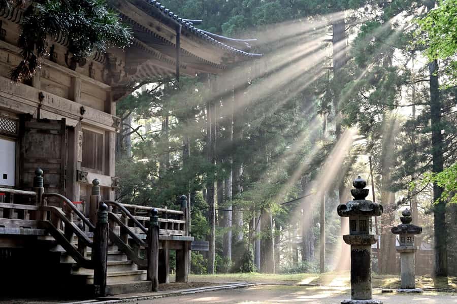 Koyasan: A Mysterious Meditation Journey - Danjo Garan Sacred Temple and Koyasan Reihokan Museum