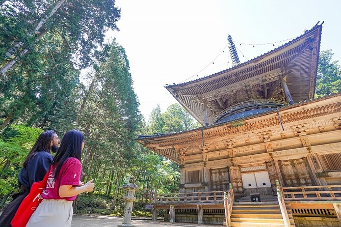Koyasan Day Trip by Private Car from Osaka - Danjyo Garan Temple Complex: Pagodas, Halls, and Esoteric Meaning