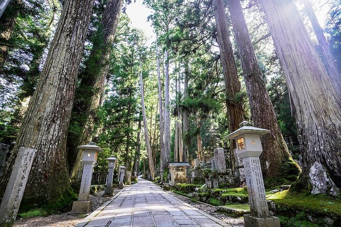 Koyasan Day Trip by Private Car from Osaka - Your Day Starts in Osaka, Then Heads Toward Mount Koya