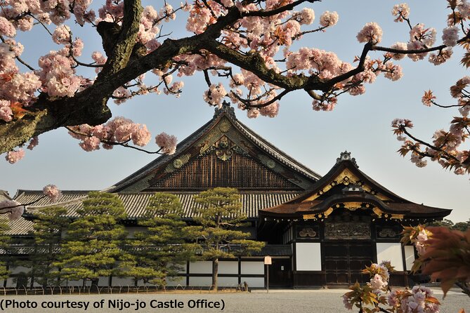 Kyoto 1 Day Tour from Osaka - Key takeaways before you book