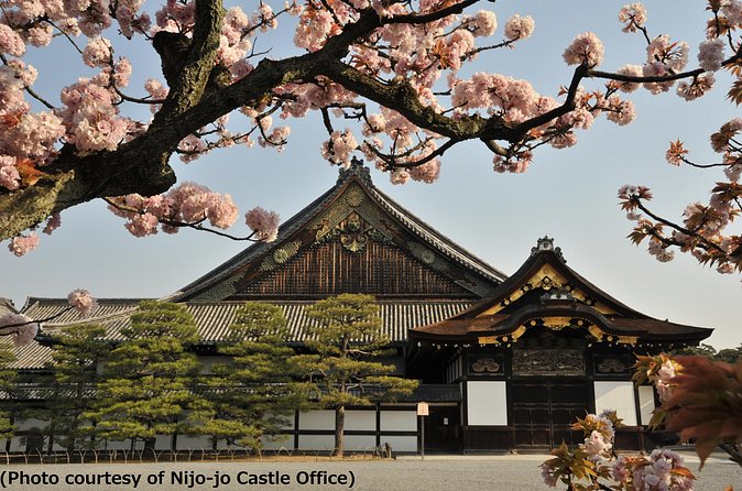 Kyoto 1 Day Tour from Osaka - Fushimi Inari Taisha: red torii photos plus a real walk