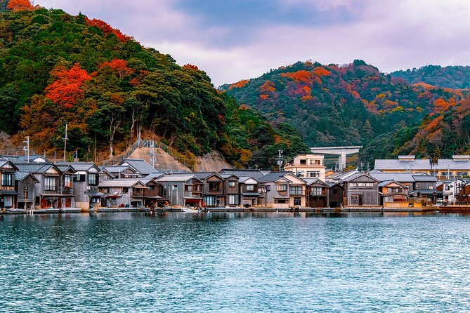 Kyoto Amanohashidate and Ine No Funaya Tour from Osaka - Comfort, pace, and group size: who will like this the most