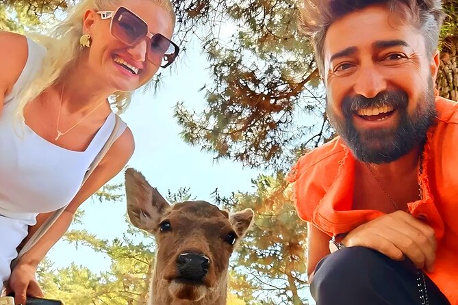 Kyoto and Nara Day Tour From Osaka with Deer Sightings - Key Points That Make This Tour Worth Your Time
