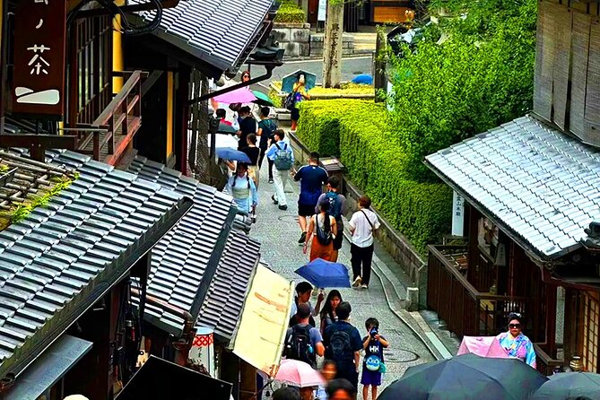 Kyoto and Nara Day Tour From Osaka with Deer Sightings - Van Rides from Osaka to Downtown: Comfort, Small-Group Pace, and Getting Unstuck