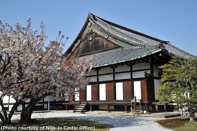 Kyoto and Nara Day Trip from Osaka - The shinkansen plan that makes a long day actually work