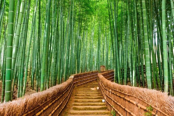 Kyoto Customized Private Car Tour - Key Highlights You’ll Feel Immediately