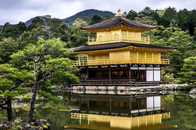 Kyoto Day Trip from Osaka Port – Private Shore Excursion - Key Highlights You’ll Care About