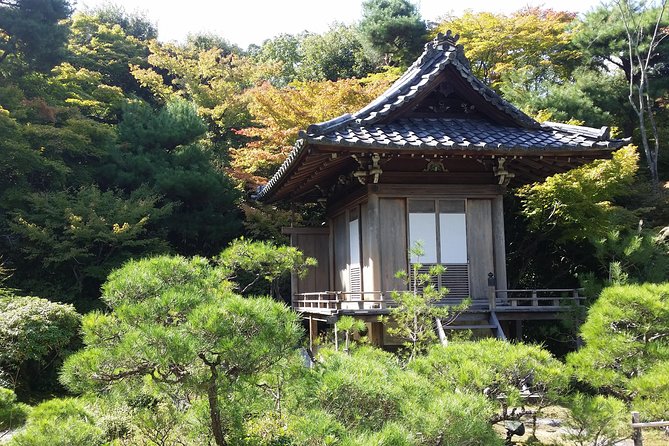 Kyoto Highlights: Arashiyama & Fushimi Inari by Private Car - Bamboo Forest Street: iconic photos, but don’t get stuck in the bottleneck
