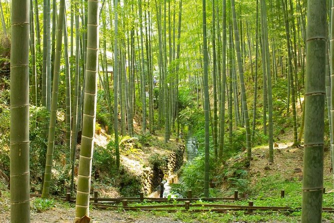 Kyoto Highlights: Arashiyama & Fushimi Inari by Private Car - Customizing the day with your driver-guide