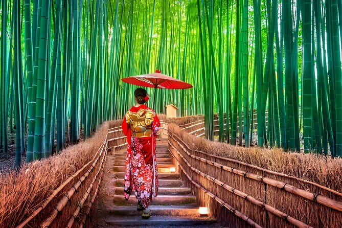Kyoto Highlights Private Tour with Pick and Drop - Key takeaways