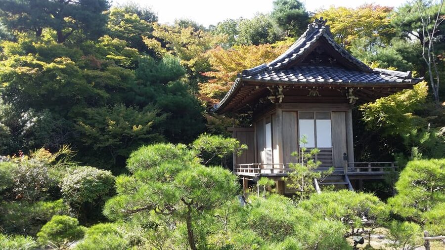 Kyoto: Immersive Arashiyama & Fushimi Inari by Private Car - Why This Private Kyoto Day Works (Arashiyama to Torii in One Shot)