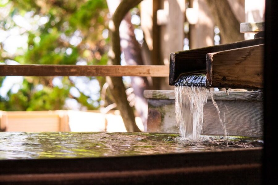 Kyoto: Immersive Arashiyama & Fushimi Inari by Private Car - Arashiyama Walking: Bamboo Forest Time Without the Guesswork