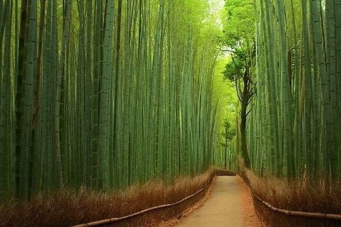 Kyoto & Nara Private customized tour with English speaking Guide - Start Time and Where You Meet: Making the Morning Smooth