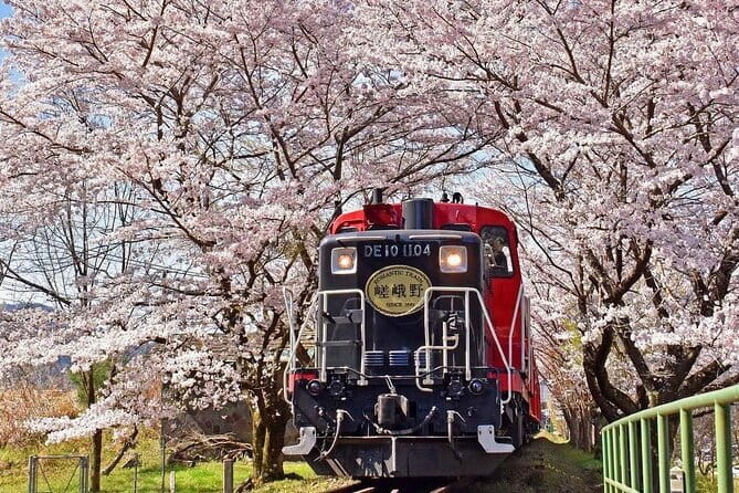 Kyoto & Nara & Uji: Full Day Sightseeing Tour from Osaka or Kyoto - Byōdoin Omotesando matcha time: shopping with purpose