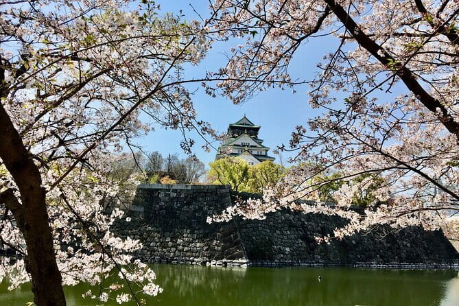 Kyoto Top Four Highlights Day Trip from Osaka or Kyoto - Nonomiya Shrine: A Black Torii in a Red-Torii World