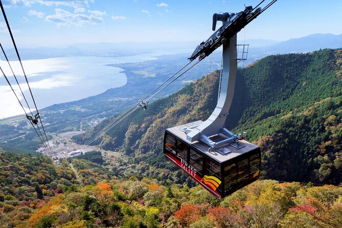 Lake Biwa Tour: Shirahige Shrine, Ukimido ,La Collina Omihachiman - Guide, Group Size, and Language: Staying Comfortable