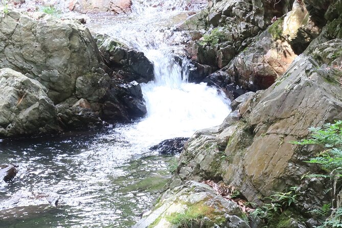 Minoh Waterfall and nature walk through the Minoh Park - Minoh Waterfall: the 33 m drop, the free stop, and that cool air