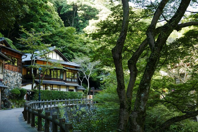 Minoh Waterfall and nature walk through the Minoh Park - Lunch on the mountain: included Japanese comfort, not a random detour