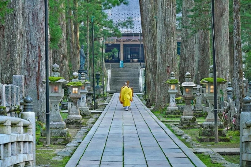 Mount Koya from Osaka: Cultural Small Group Day Tour - Key moments that make this Mount Koya trip work
