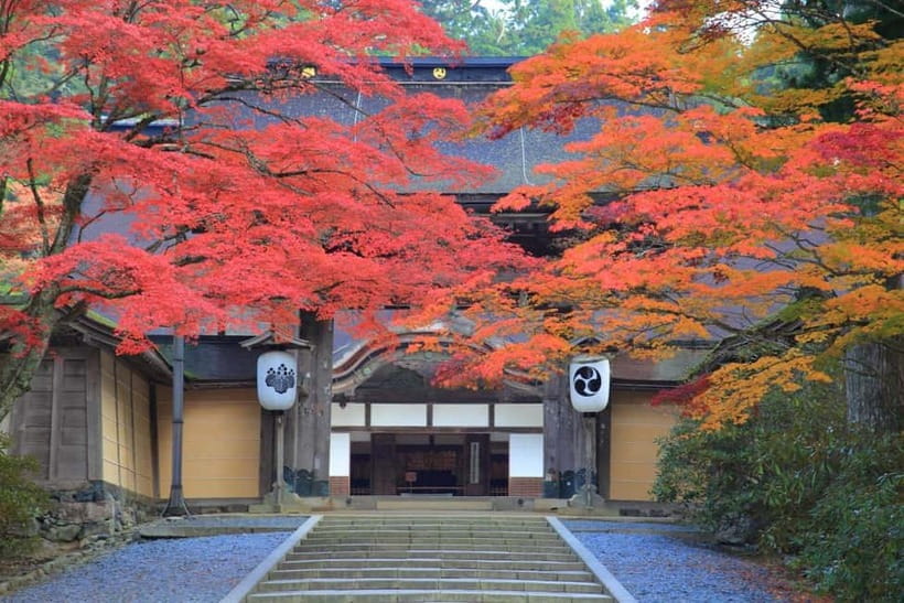 Mount Koya from Osaka: Cultural Small Group Day Tour - A long day from Osaka to Mount Koya (and why that’s part of the value)