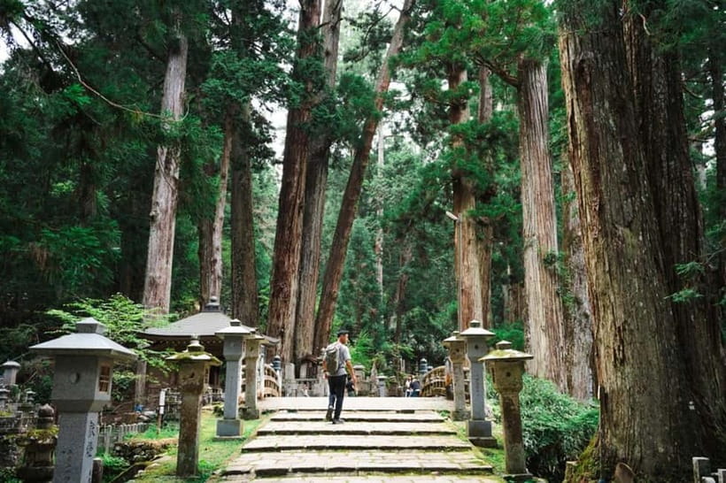 Mount Koya from Osaka: Cultural Small Group Day Tour - Shojin Ryori lunch: meatless comfort with mindful restraint