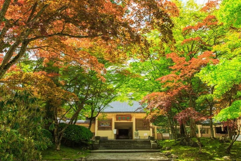 Mount Koya from Osaka: Cultural Small Group Day Tour - Town time near the end: incense, prayer beads, and quieter browsing